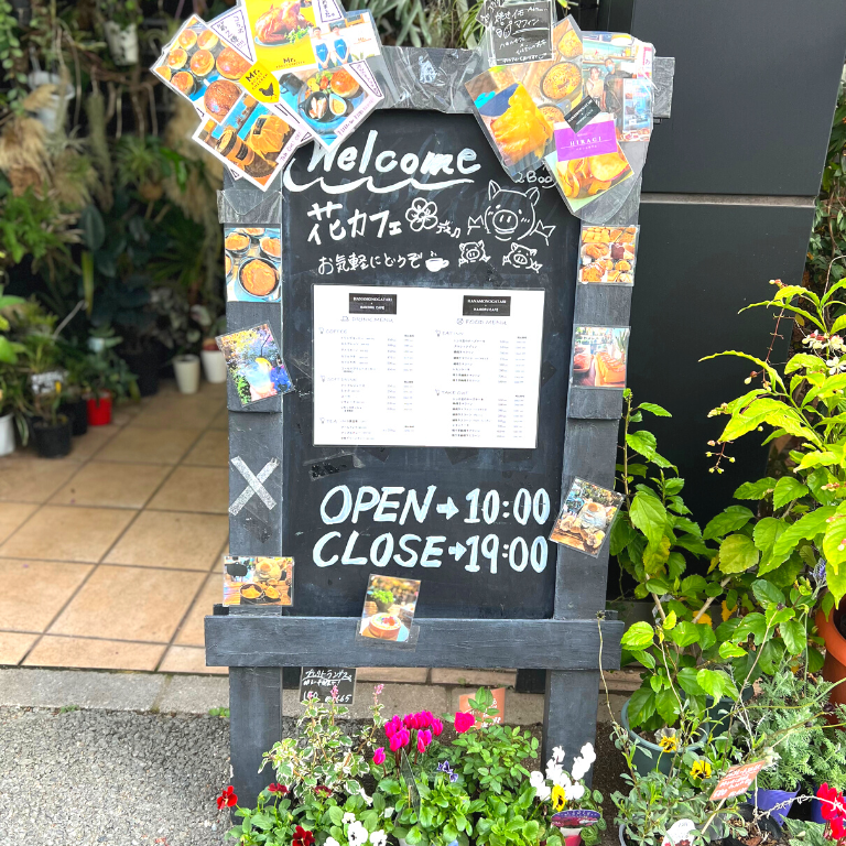 【HAMORU CAFE】お店の外も中も満載のお花がお出迎え！五感で楽しむクラシックプリン（千早）