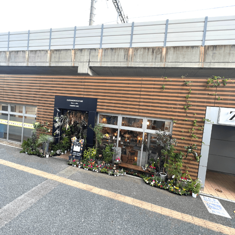 【HAMORU CAFE】お店の外も中も満載のお花がお出迎え！五感で楽しむクラシックプリン（千早）